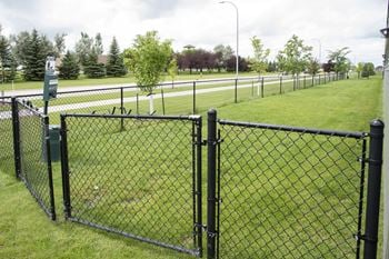 Dog park